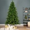 Sapin Artificiel De Noël Caucasia Nordmann H300 Cm Vert Sapin -Village de Noel 1 caucasia nordmann spruce h 3m 129314 1686039668 corr