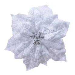 Poinsettia De Noël Giana Sur Clip Blanc
