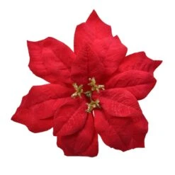 Poinsettia De Noël Noelie Sur Clip Rouge