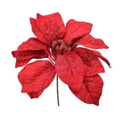 Poinsettia De Noël Coline Sur Clip Rouge