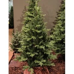 Sapin Artificiel De Noël Allix H240 Cm Vert Sapin 9 Sapin Artificiel De Noël Allix H240 Cm Vert Sapin -Village de Noel 86249 1597845489