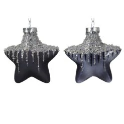 Lot De 2 étoiles De Noël à Suspendre En Verre Arctique Noir