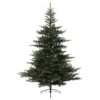 Sapin Artificiel De Noël Glorious H180 Cm Vert Sapin -Village de Noel sapin artificiel de noel grandis h180 cm vert sapin 46945