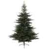 Sapin Artificiel De Noël Glorious H210 Cm Vert Sapin 1 Sapin Artificiel De Noël Glorious H210 Cm Vert Sapin -Village de Noel sapin artificiel de noel grandis h210 cm vert sapin 46956